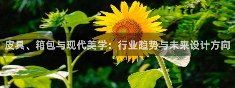 富邦网上娱乐网址大全