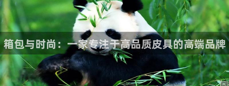 富邦娱乐首页