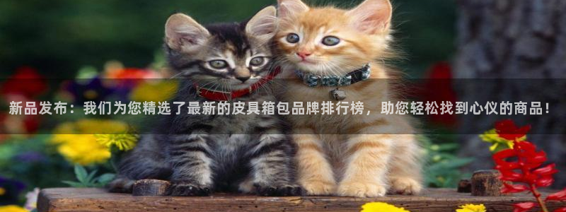 富邦娱乐团购怎么样