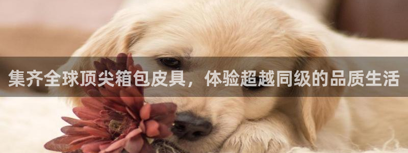 富邦娱乐澳门娱乐网站
