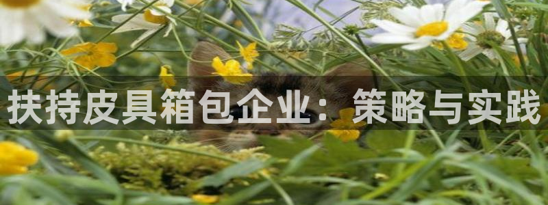 杭州富邦娱乐在营业吗