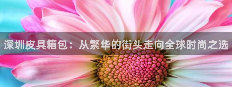 杭州富邦娱乐集团