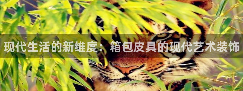 富邦娱乐团购活动