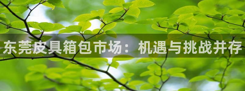 富邦娱乐彩票官网下载