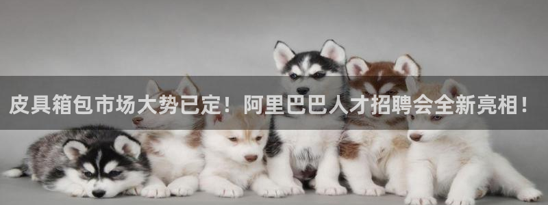 宁波北仑富邦娱乐