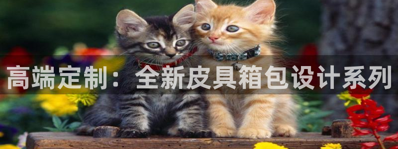 富邦翡翠娱乐