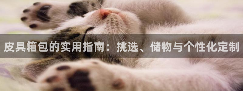 富邦 娱乐 花花公子