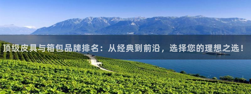 富邦娱乐 上鼎狐网