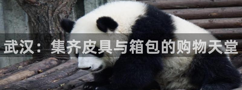 富邦娱乐澳门娱乐网站