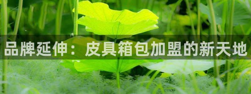 富邦娱乐首页