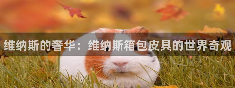 菲律宾富邦娱乐
