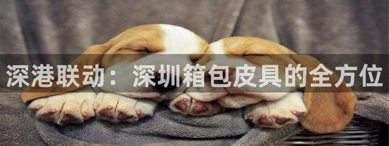 富邦网上娱乐网址大全