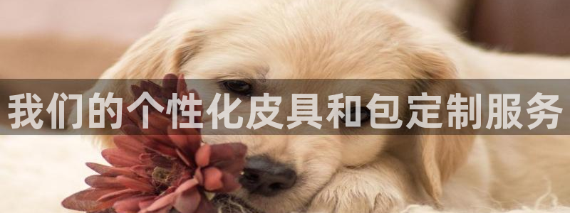 富邦天日娱乐有限公司