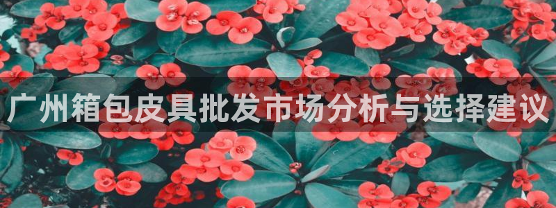 富邦娱乐2024最新消息