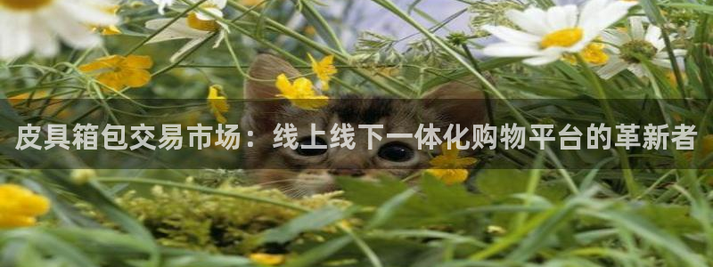 富邦娱乐登录探索无限空间