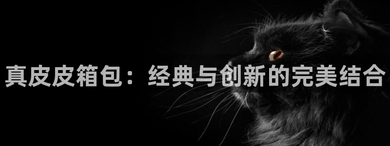 富邦娱乐澳门娱乐官网