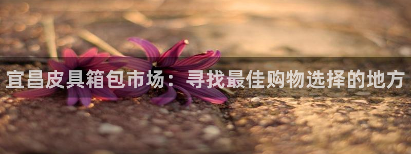 杭州富邦娱乐集团