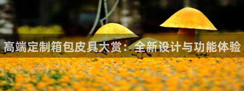 壹家娱乐北仑区富邦