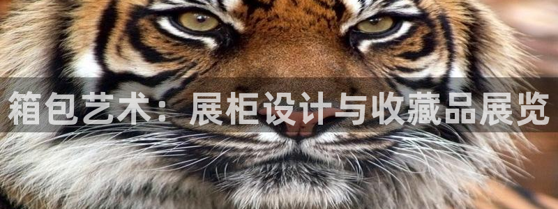 宁波富邦广场翡翠娱乐