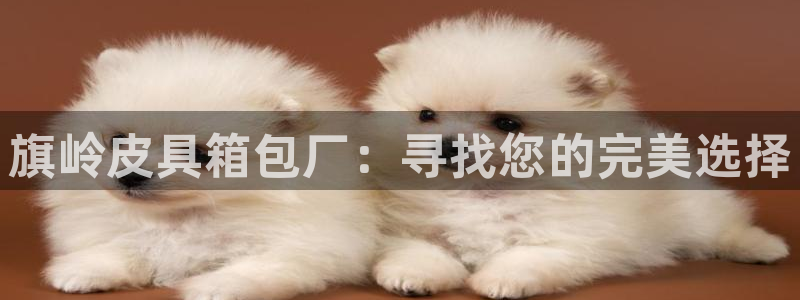 富邦娱乐网址是