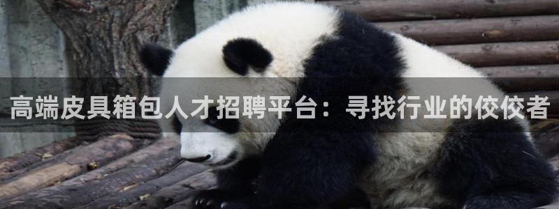 杭州富邦丽晶娱乐会所