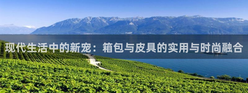 富邦娱乐被风控怎么办