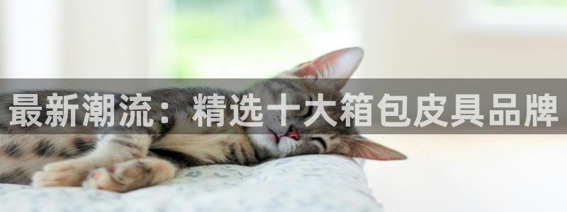 富邦历山湾娱乐