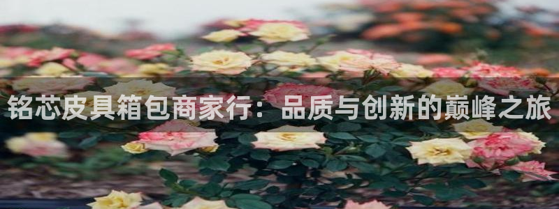 富邦club娱乐网址