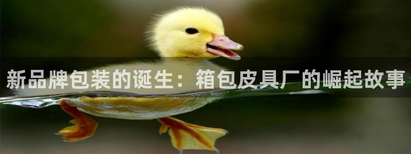 富邦娱乐团购卡怎么用啊