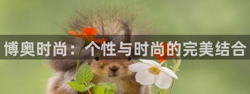 富邦翡翠娱乐怎么样啊