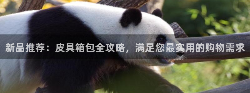 杭州临平富邦娱乐会所