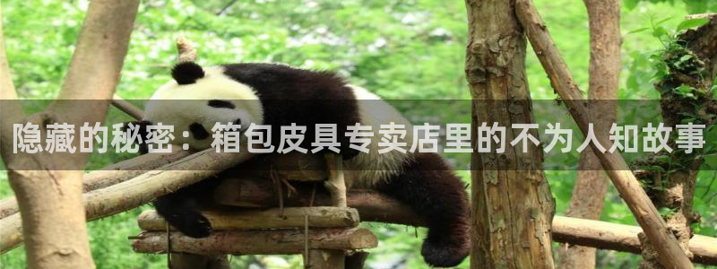 天象娱乐和宁波富邦