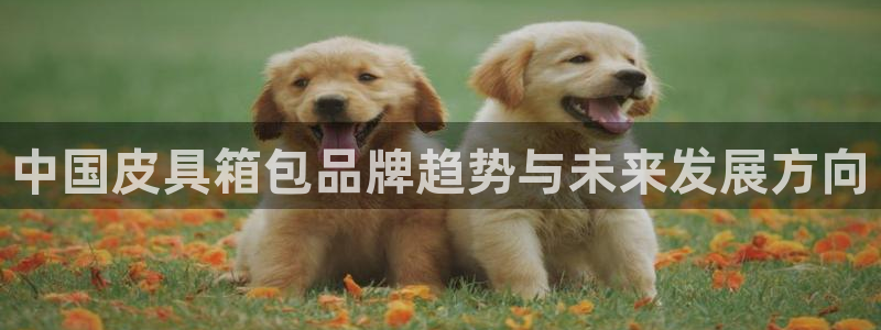 富邦娱乐-真博百楽