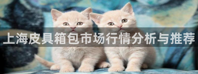 富邦娱乐登入探索无限空间