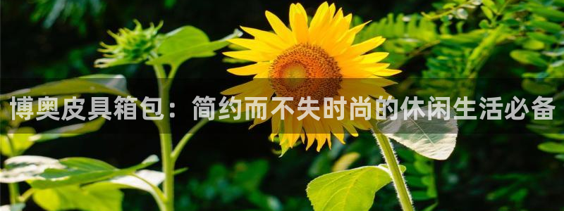 富邦娱乐线路检测