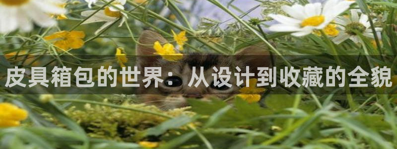 富邦娱乐大厅优惠活动