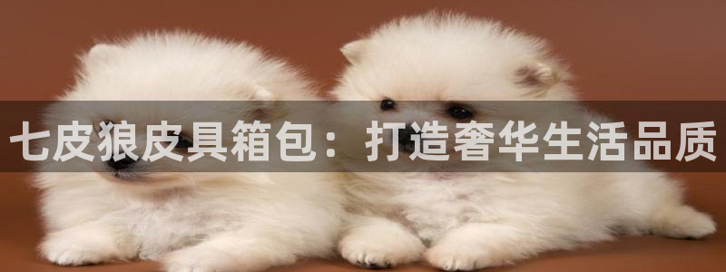 富邦娱乐澳门娱乐网址