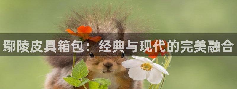 富邦娱乐城-皇恩a平台