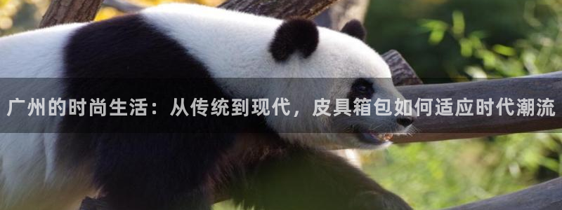 富邦历山湾娱乐