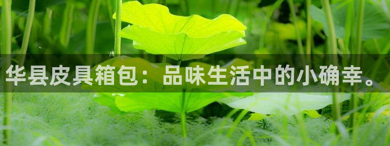 天象娱乐和宁波富邦